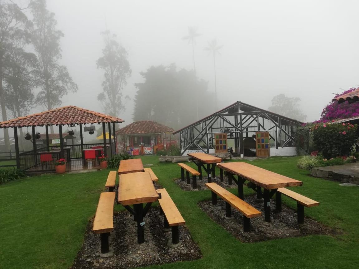 萨兰托 Palmas De Cocora旅馆 外观 照片
